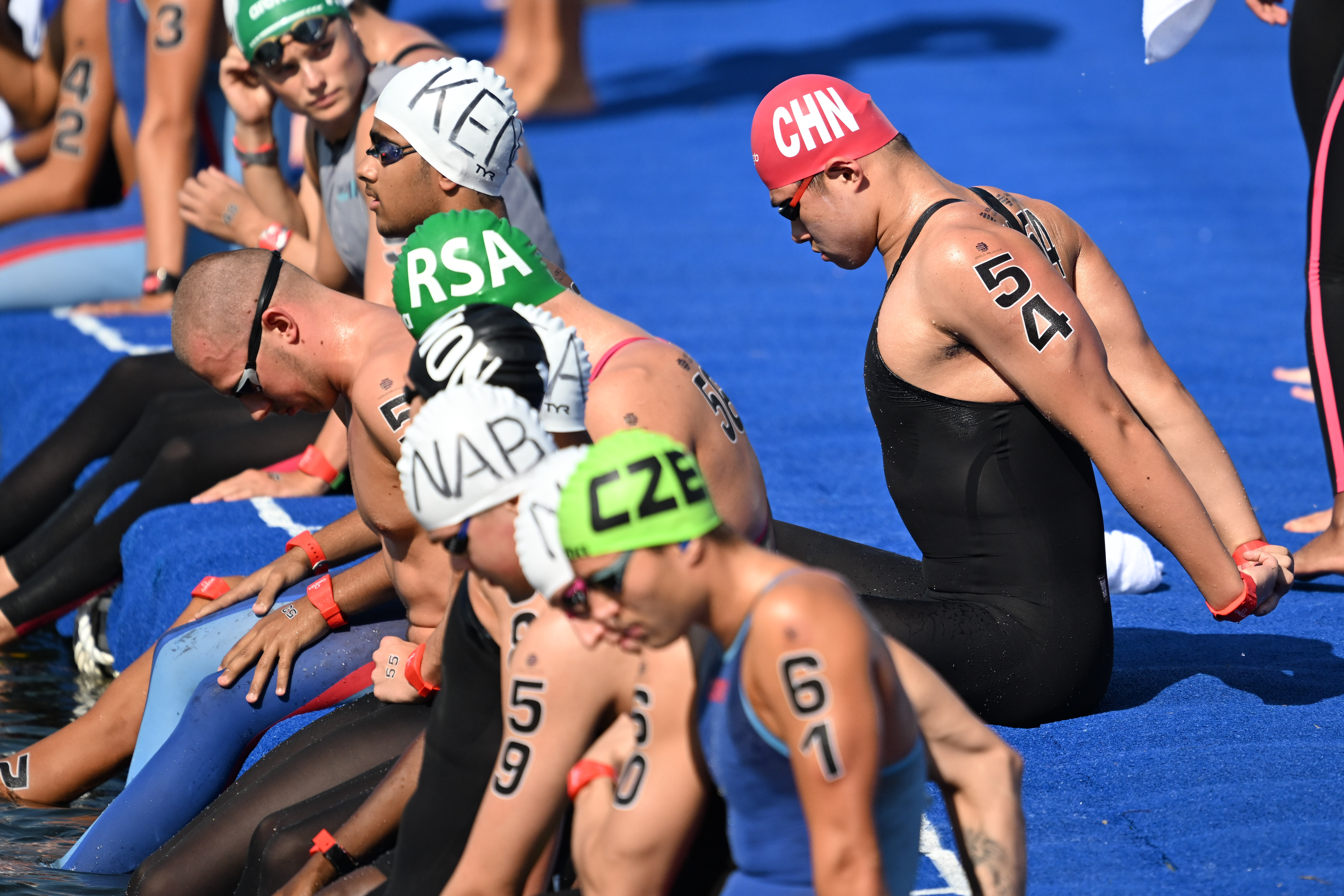 关于回顾游泳经典时刻：传奇再现的信息