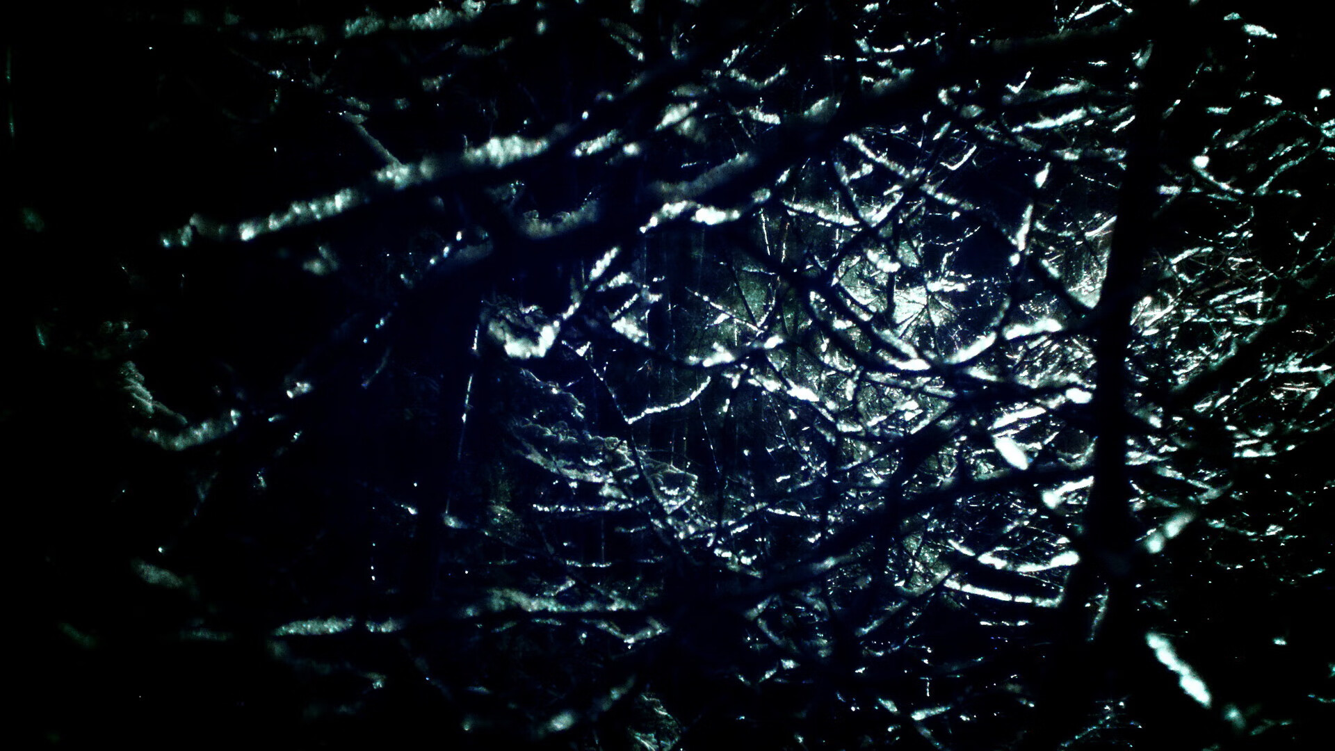 冷门之外，当瑞典铁骑踏破波兰，中国利刃如何惊艳世界