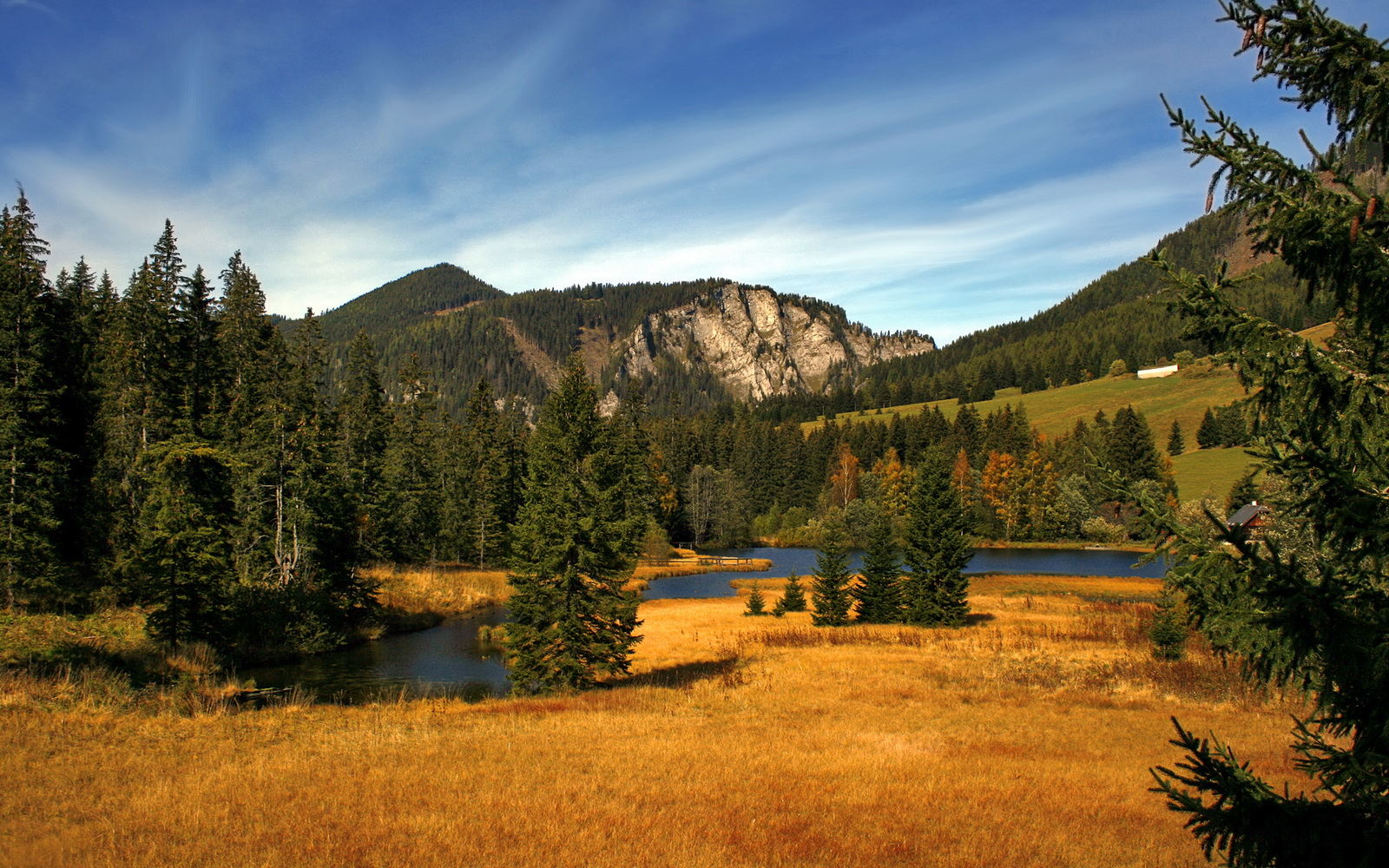 波尔之光，冷门闪耀，奥地利队如何轻取葡萄牙队