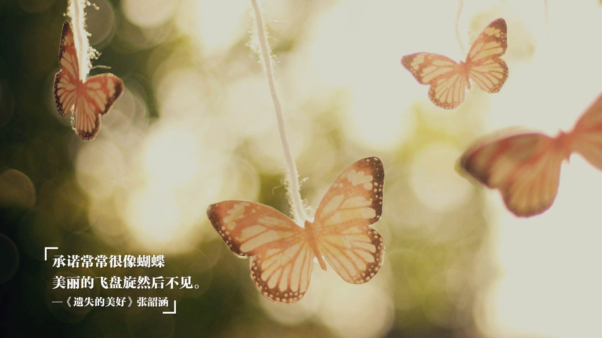 碳纤维之弦，当瑞典冰刃切开法兰西铠甲，听张继科球拍上的时代颤音