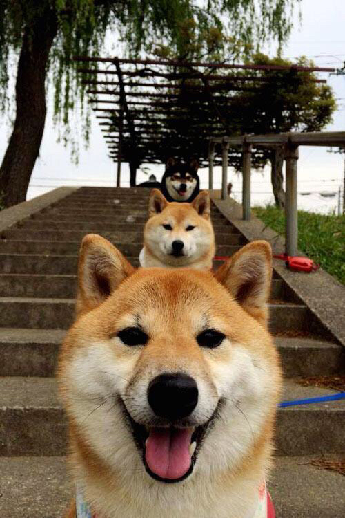 绿茵场上团队征服，球台之前孤身君临