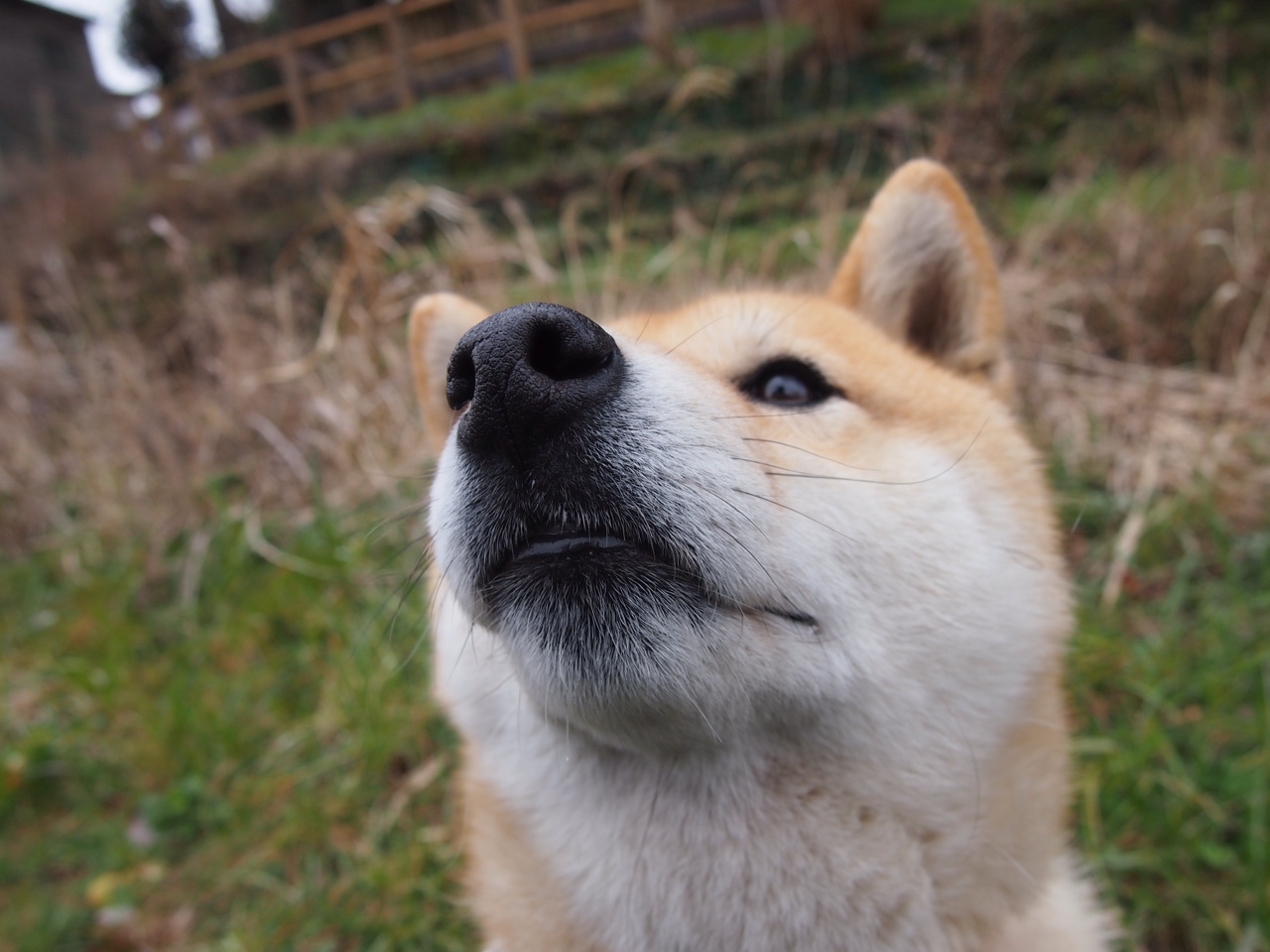 开云体育官网-绝地反击的龙吟，安赛龙独挽狂澜，丹麦队上演惊天逆转