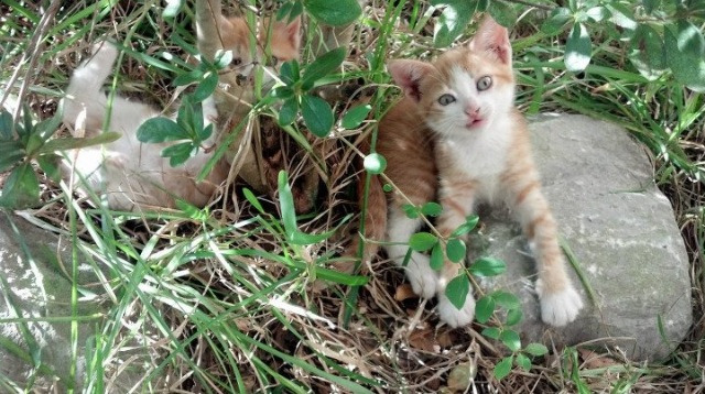 开云体育-铭刻时刻，恩比德天神下凡，公牛以碾压之姿让山西俯首