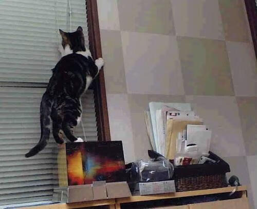 奥利维耶，绿茵场上的唯一主宰，乌克兰强势晋级的完美拼图