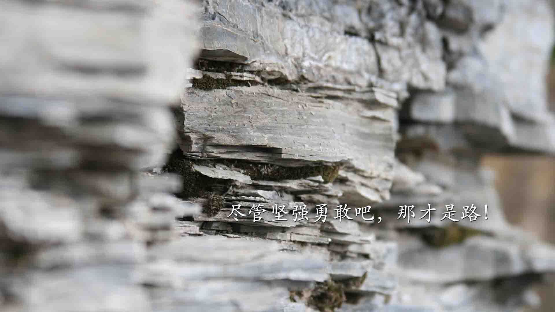 开云体育app-季后赛抢七钢铁洪流，曼联的战术纪律如何压制喀麦隆雄狮的野性天赋