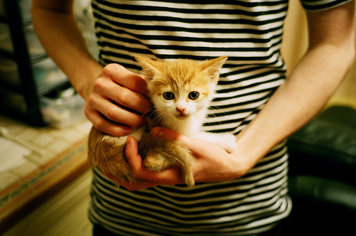 格纳布里,欧冠决赛之夜的隐形男主角