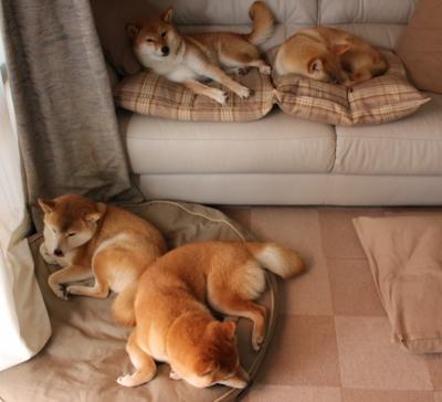 开云体育-米切尔彻底击碎对手防线，广厦队用钢铁防守锁死辽宁卫冕之路