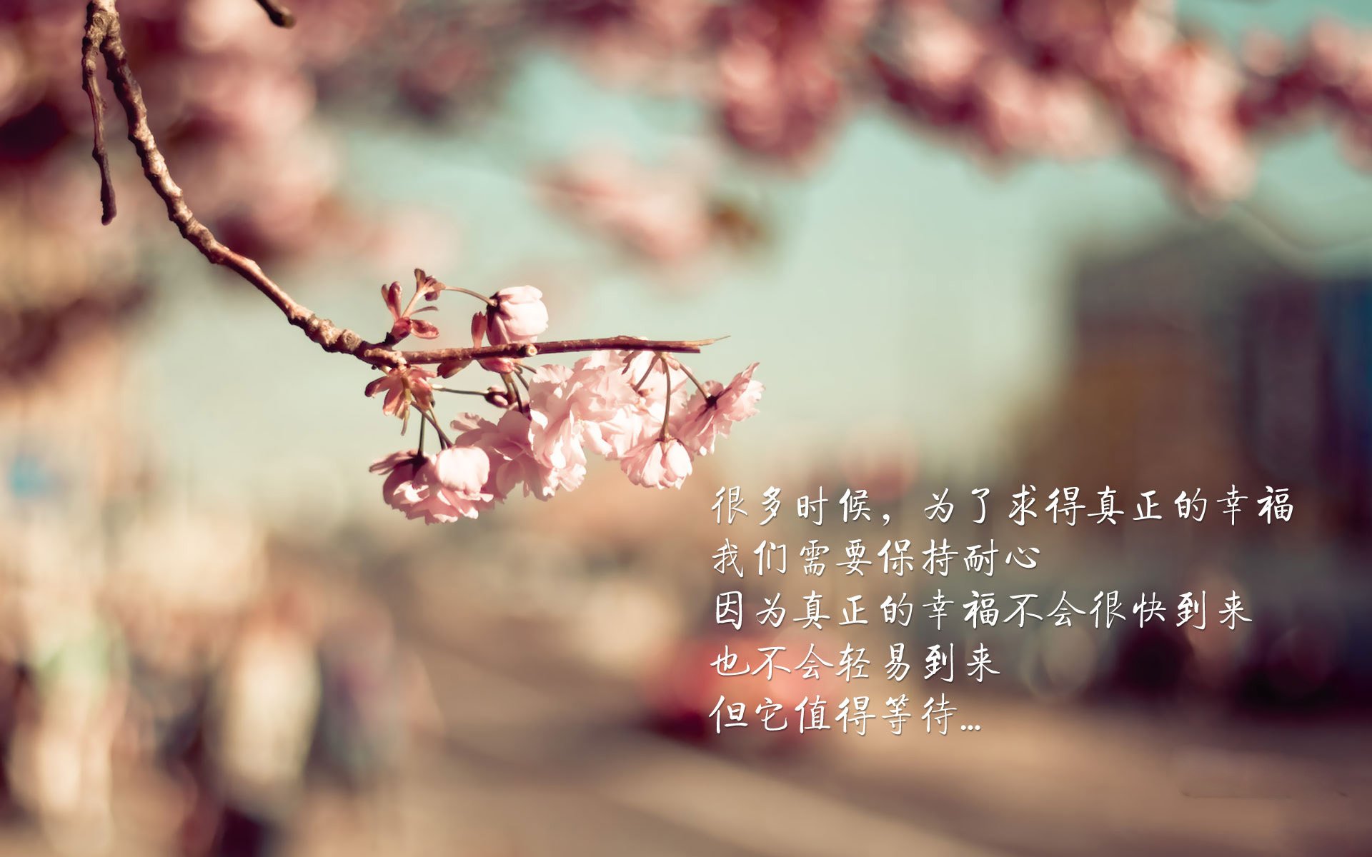 独步天下,2026世界杯A组焦点战,哥伦比亚力克摩洛哥,C罗用不朽传奇定义唯一性